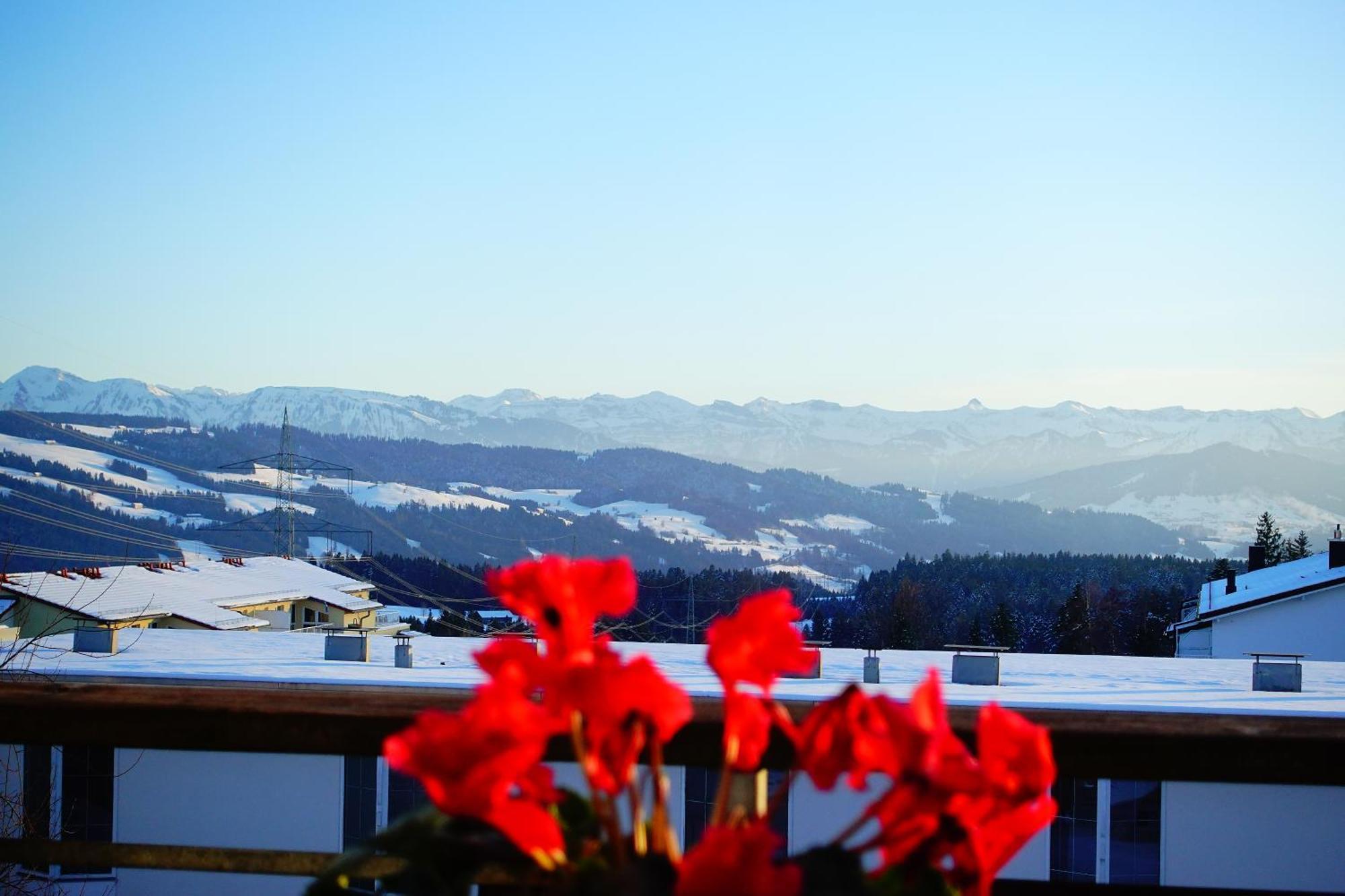 Relax-Red Mit Pool Und Sauna Scheidegg Exteriör bild